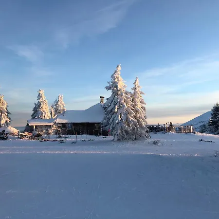 Miakop דירה קופאוניק